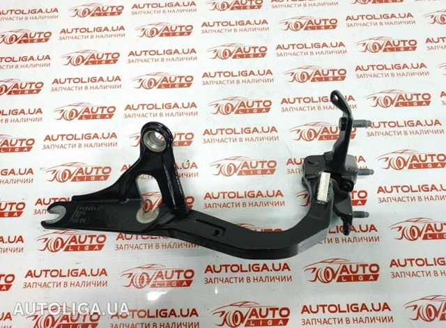 Петля третіх/п'ятих дверей 41627357421 BMW