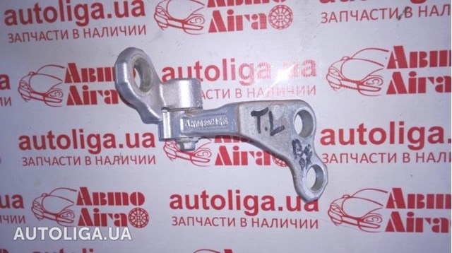 Петля заднтої двері, лівої 5012216 FORD