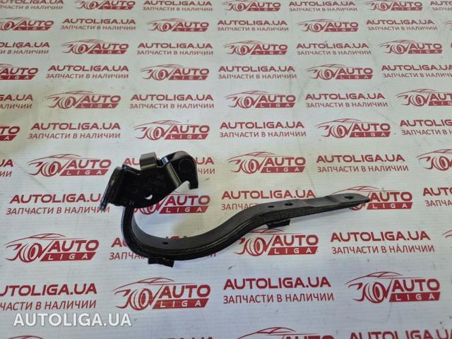 Петля кришки багажника 51247296774 BMW