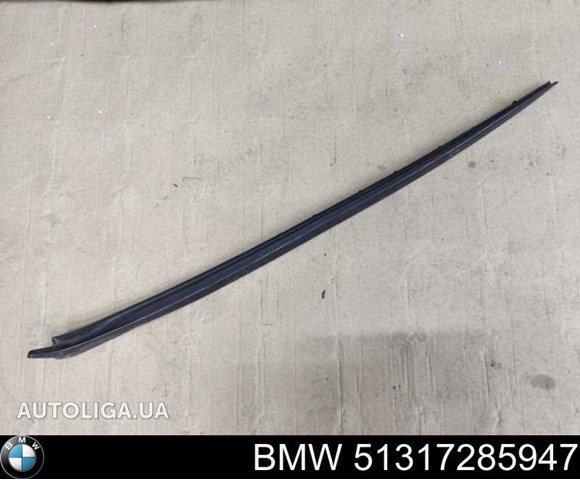 Лівий молдинг вітрового скла 51317285947 BMW