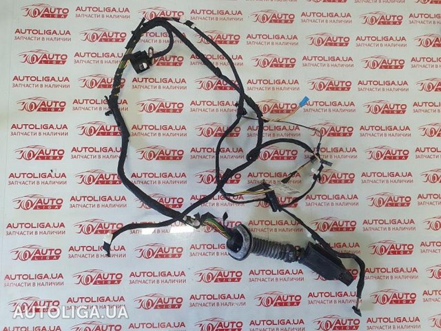 Джгут проводів задніх дверей 61129366761 BMW