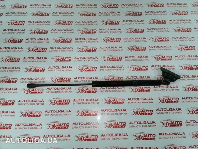 Амортизатор багажника лівий 68101213AA FIAT