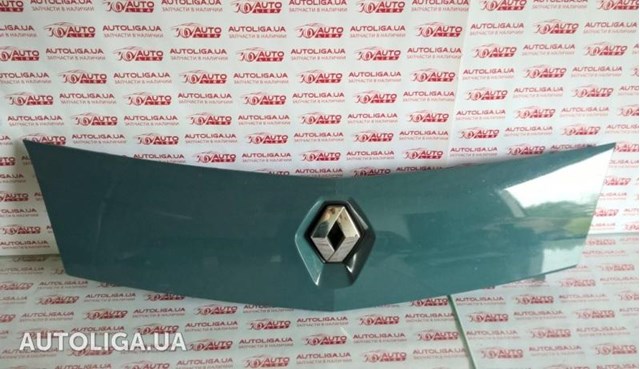 Ободок решітки радіатора 7701210129 RENAULT