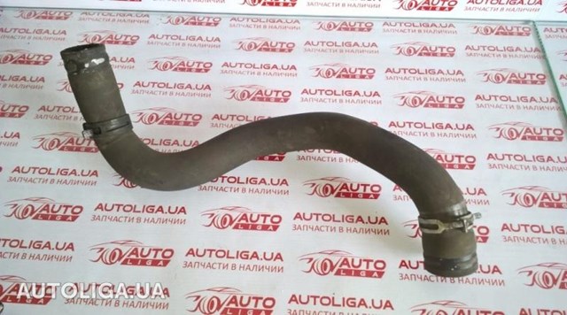Шланг розширювального бачка, нижній 8200837190 MERCEDES