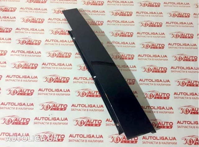 Накладка задньої двері, правої, вертикальна 822830011R RENAULT