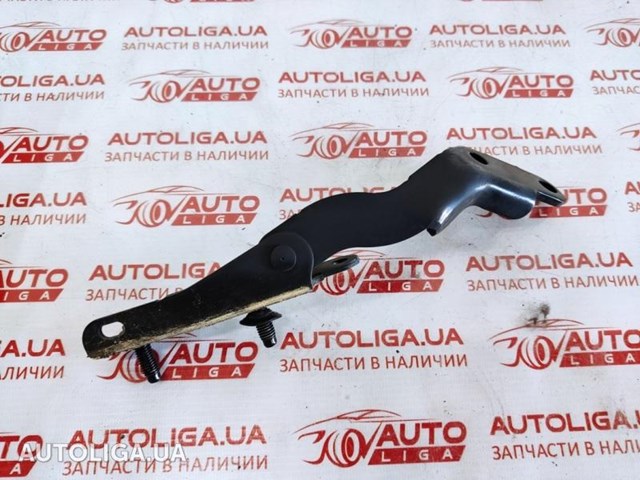 Завіса задніх дверей, ляди 904004BA0A NISSAN