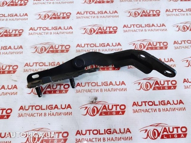 Завіса задніх дверей, ляди 904014BA0A NISSAN