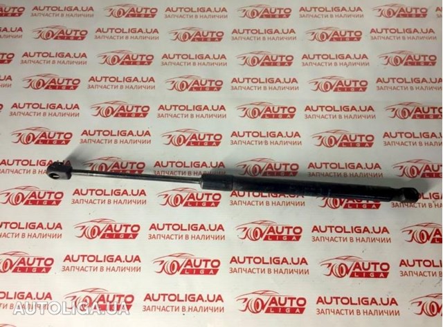 Амортизатор двері 3/5-ї задньої 904510001R RENAULT