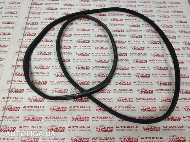 Прокладка дверей задніх, лівих (на двері) AM5Z58253A11B FORD
