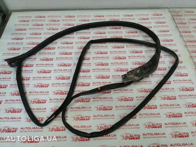 Ущільнювач двері передньо, правої (на двері) BB5Z7820530A FORD
