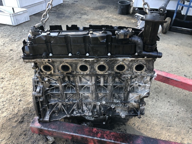 Двигун у зборі 11002180690 BMW