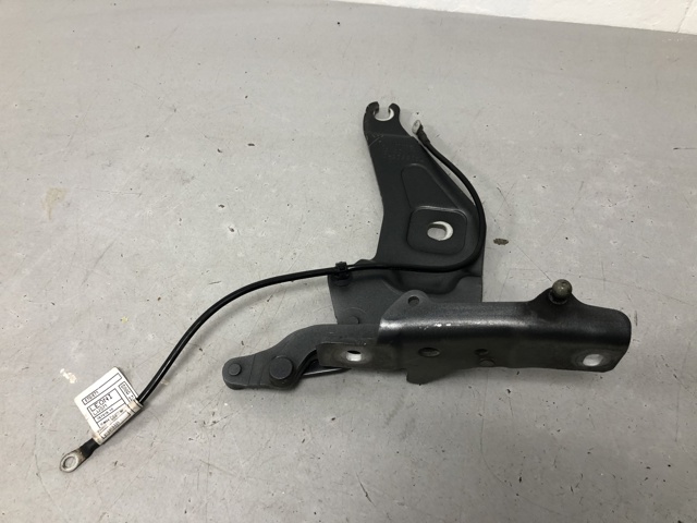 Завіса капота права 41007198618 BMW