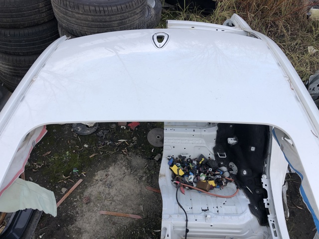 Дах кабіни (кузова) 41007487390 BMW