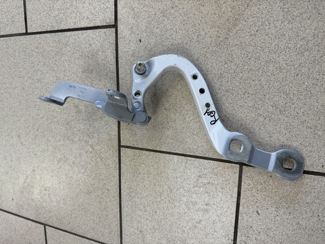 Петля задніх багажних, 3/5 -х дверей 41007494944 BMW