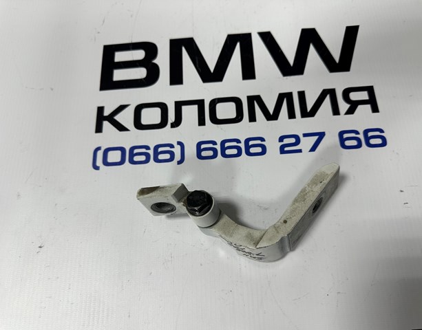 Петля задніх лівих дверей 41007495993 BMW