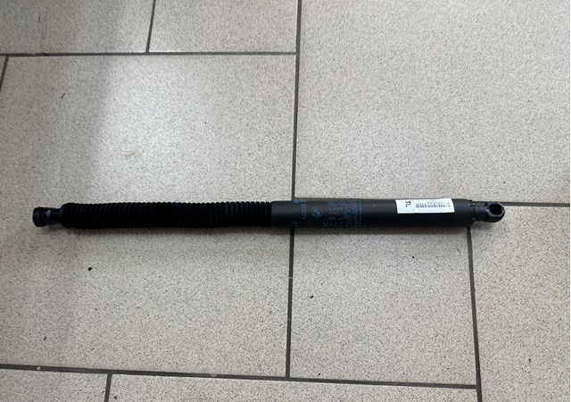 Амортизатор задньої ляди 51242654885 BMW