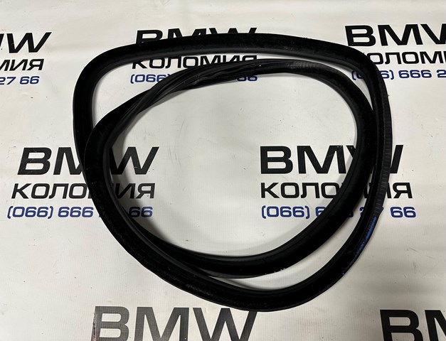 Прокладка дверей задніх, лівих (на кузові) 51727409191 BMW