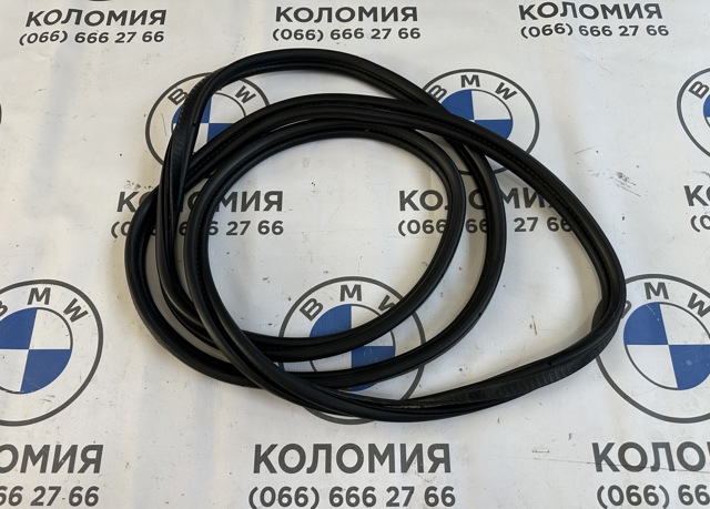 Ущільнювач двері передньої лівої (на двері) 51762990474 BMW