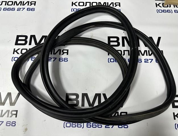 Ущільнювач дверей передніх, лівих (на двері) 51767301846 BMW