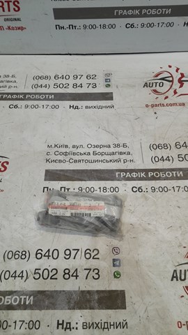 Болт заднього продольно важіля, розвальний 545801LA2B NISSAN
