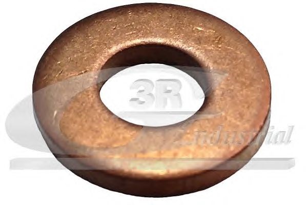Кільце інжектора 81247 3RG
