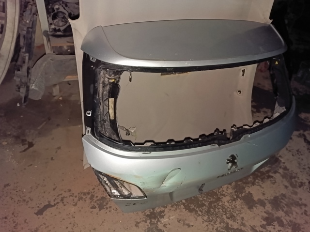 Задні двері багажника 9800371677 PEUGEOT