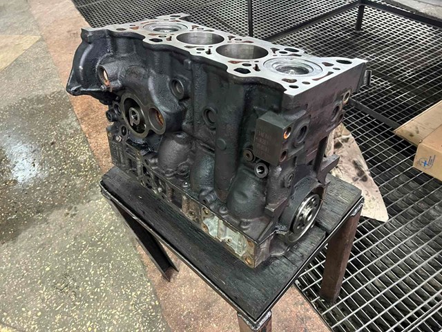 Мотор в зборі F1AE0481D FIAT