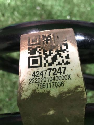 Пружини задні 42477247 GM