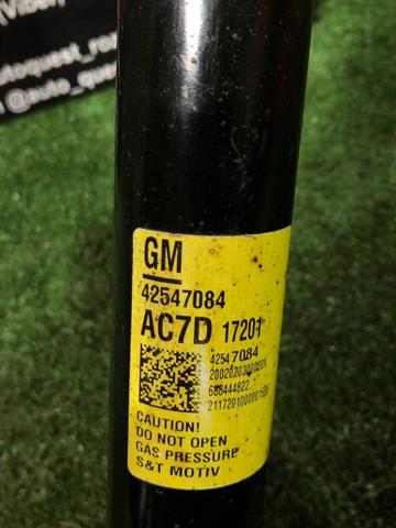 Циліндр підвіски 42547084 GM