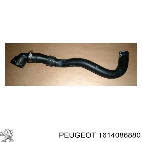 Шланг/патрубок радіатора охолодження, нижній 1614086880 PEUGEOT