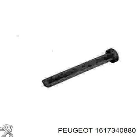 Замок задньої лівої двостулковщї двері, верхній 1617340880 PEUGEOT