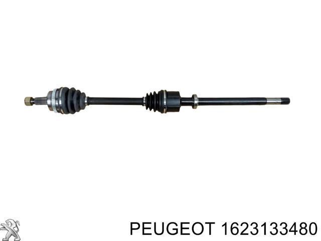 Опора підвісного підшипника передньої піввісі 1623133480 PEUGEOT