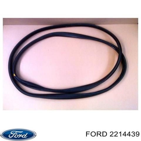 Ущільнювач дверей передніх, правих (на кузові) 2214439 FORD
