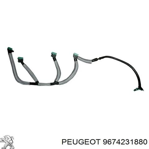 Трубка паливна, зворотня від форсунок 9674231880 PEUGEOT
