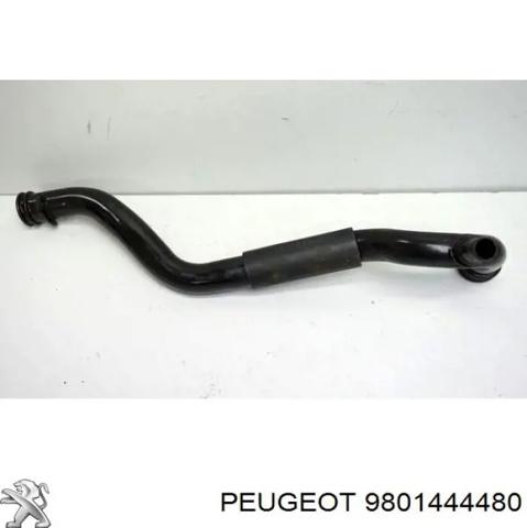 Водопровідна труба системи охолодження 9801444480 PEUGEOT