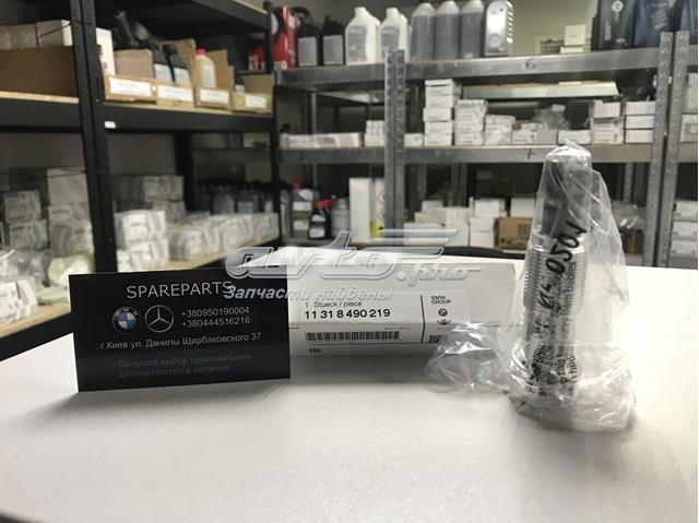 Гідронатяжитель ланцюга 11318490219 BMW
