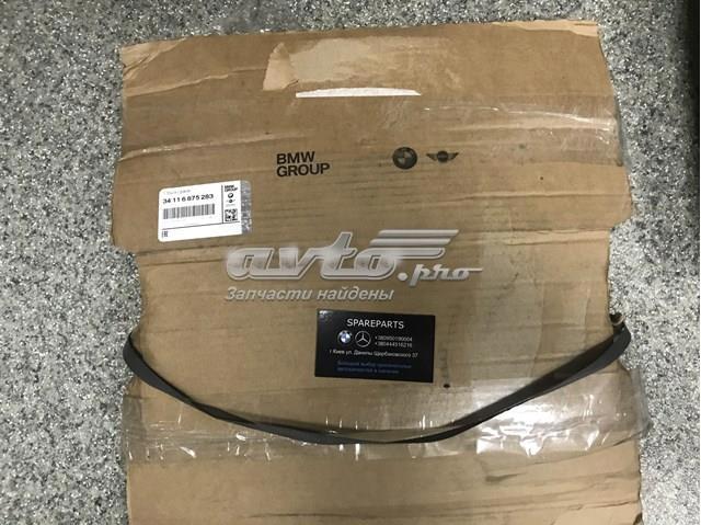 Гальмо дискове переднє 34116875283 BMW
