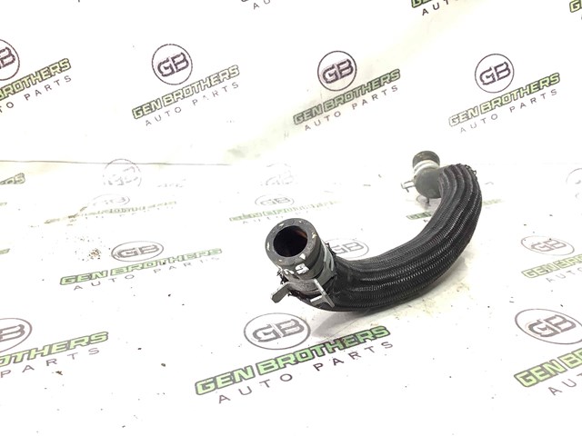 Шланг/патрубок радіатора охолодження, нижній 52014834AC CHRYSLER