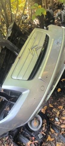 Захисна решітка радіатора 7804N3 PEUGEOT