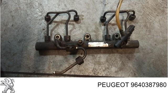 Паливна рампа 9640387980 PEUGEOT