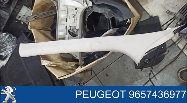 9657436977 Peugeot/Citroen