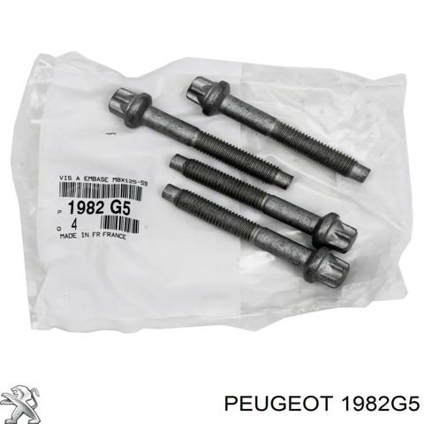 Болт кріплення форсунки 1982G5 PEUGEOT