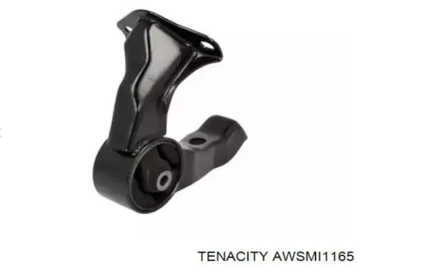 Задня опора двигуна AWSMI1165 TENACITY