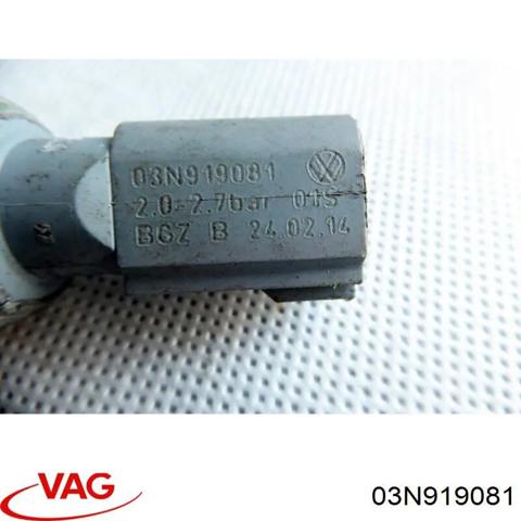 Манометри (показник тиску масла) 03N919081 VAG