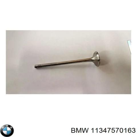 Клапан впускний 11347570163 BMW
