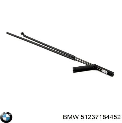 Трос відкриття капота, задній 51237184452 BMW
