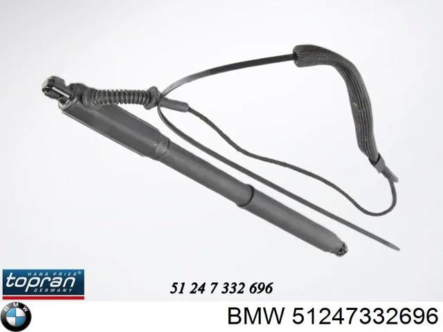 Амортизатор кришки багажника / двері 3/5-ї задньої 51247332696 BMW