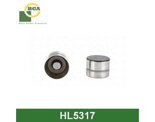 Гідрокомпенсатор HL5317 BGA