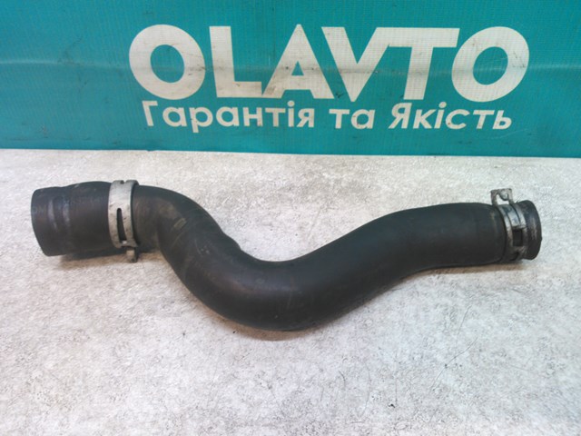 Шланги системи охолодження 1343GH PEUGEOT