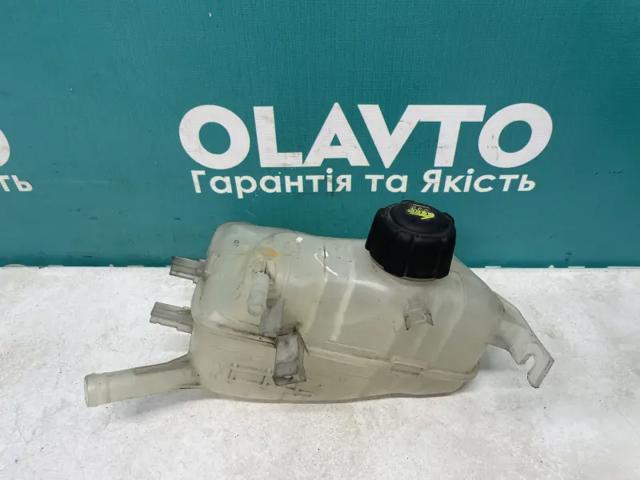 Кришка розширювального бачка 8200048024 RENAULT